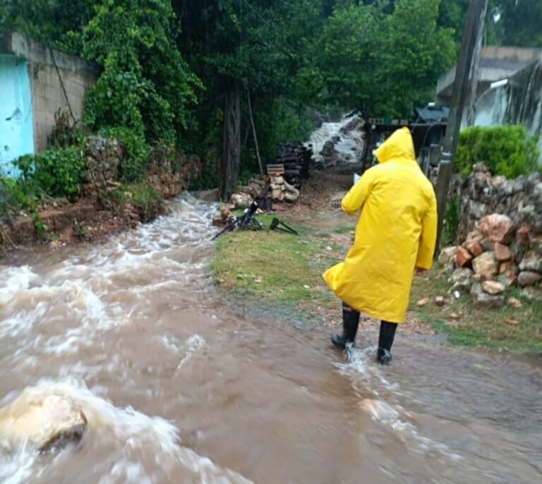 Estragos de “Grace” en cifras