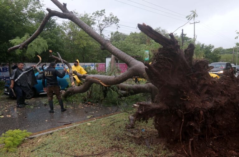 Obstáculos en la vía