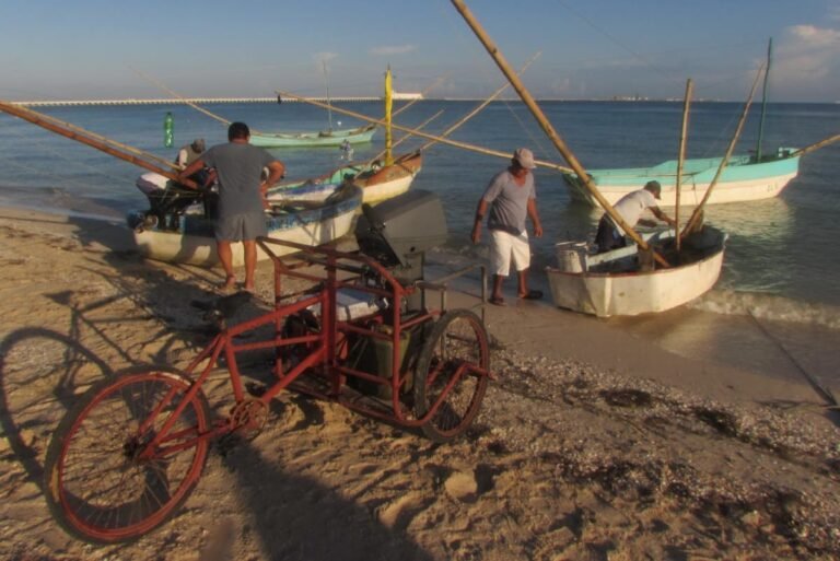 Amenazas a la pesquería