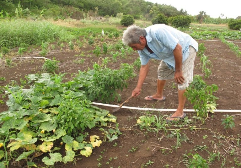 Ante políticas ”rupestres”