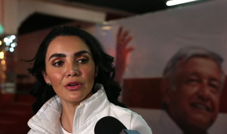 INE: la revocación, en riesgo