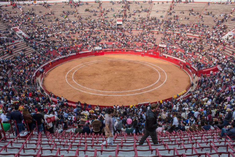Aprueban prohibir las corridas de toros en CDMX