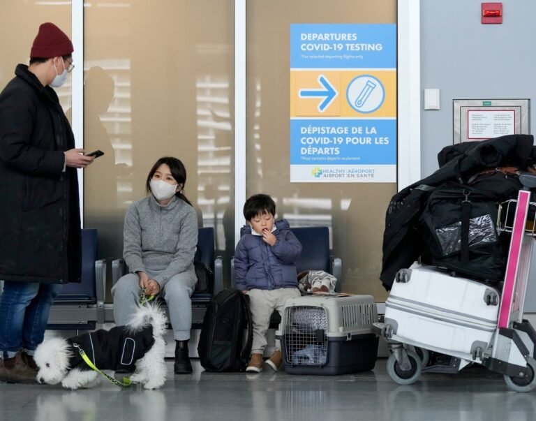 Ómicron: Sería una variante menos peligrosa