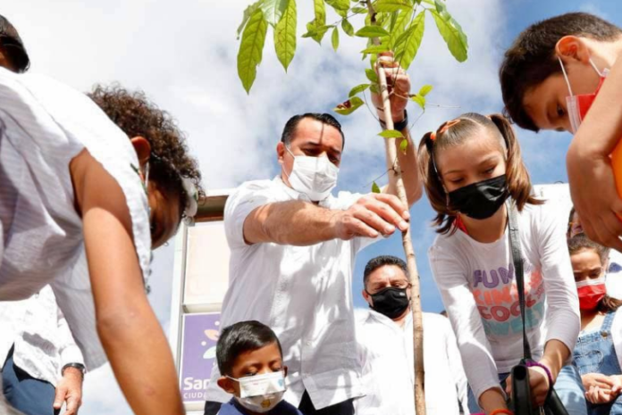 adopta un árbol