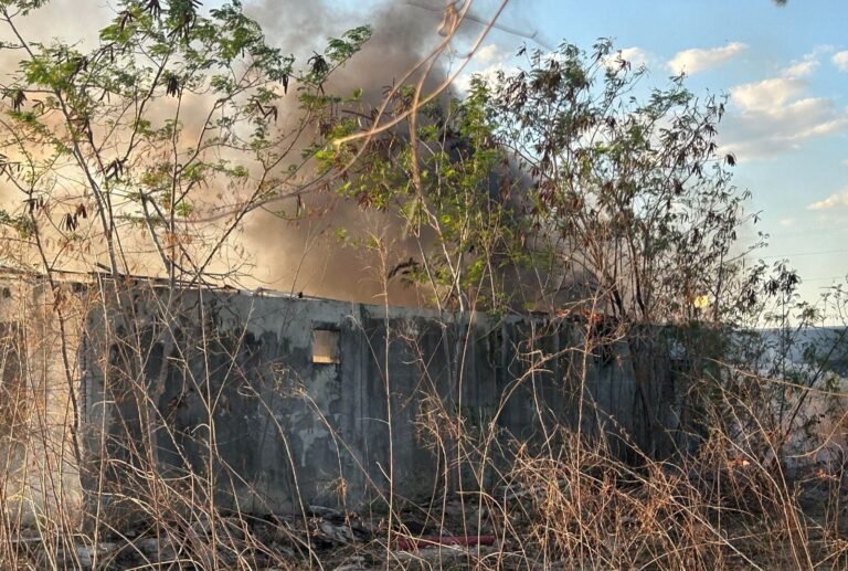 Bomberos sofocan incendio de maleza en Ciudad Caucel