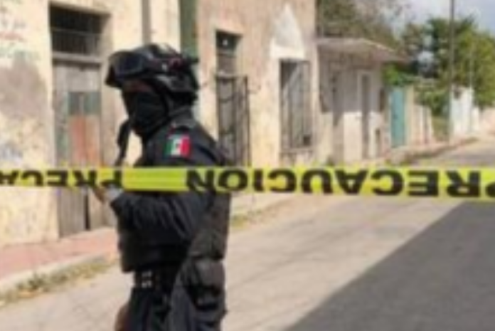 Diseño sin título - 2022-05-26T190036.194