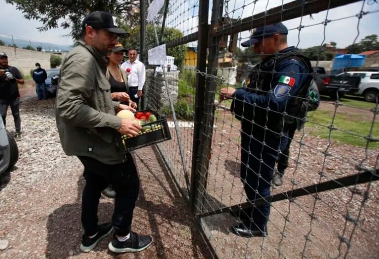 Abren recaudación de fondos para 190 felinos abandonados en santuario Black Jaguar