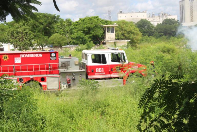 Controlan incendio en terrenos de la “La Plancha”