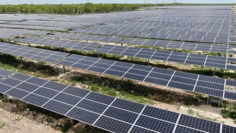 Detiene tribunal proyecto fotovoltaico en Yucatán