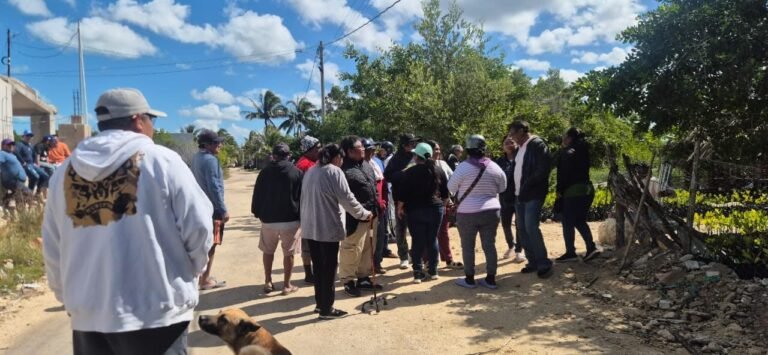 Con mil pesos quieren comprar el silencio: el “manglargate” que exhibe la corrupción en Dzidzantún y Santa Clara