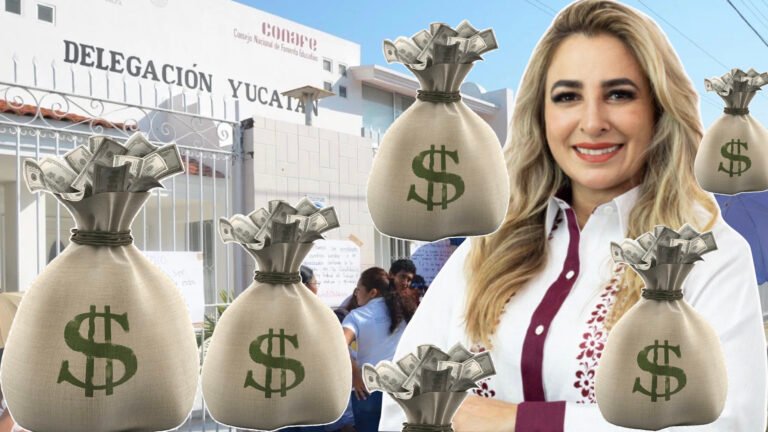 Jessica Saidén compra silencio e impunidad en Morena para ocultar irregularidades en Conafe