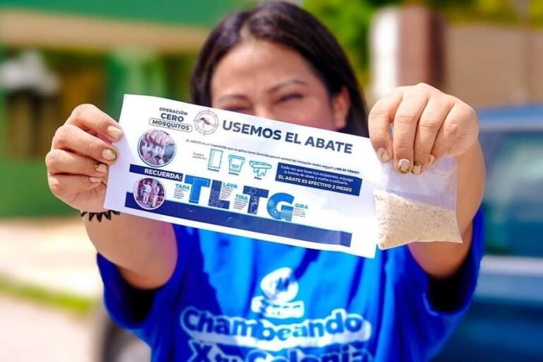 Colaboremos entre todos en el combate al mosco en Mérida: Cecilia Patrón