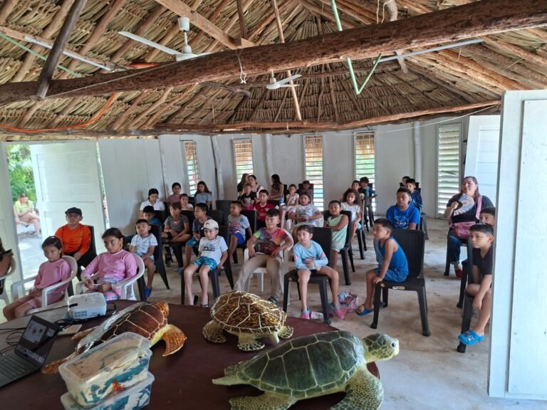 Programa ambiental promueve cuidado de tortugas marinas en infancias yucatecas
