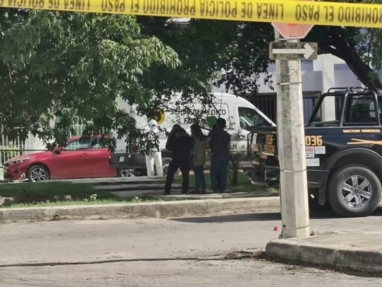 Fatal ataque de abejas en Mérida: una mujer muere y varias personas reciben auxilio en Brisas