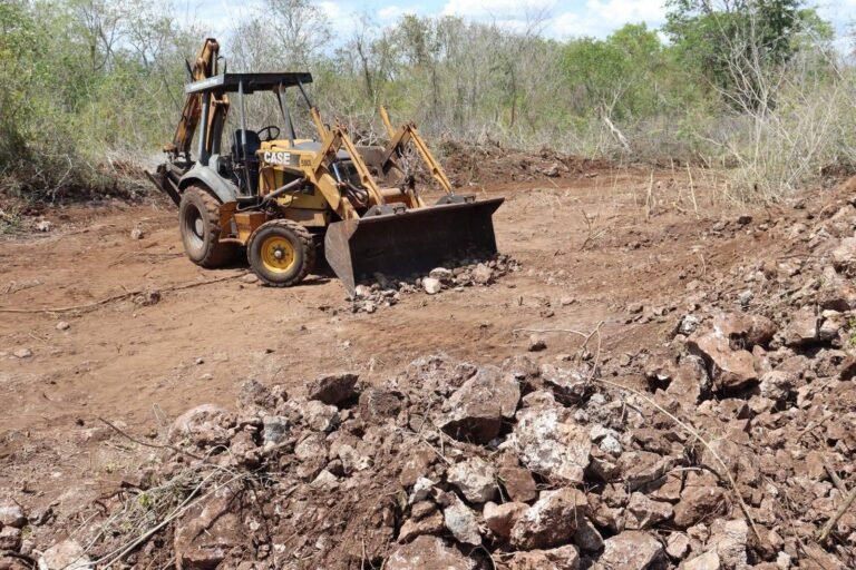 Clausuran predio por desmonte ilegal en la Reserva Cuxtal; aseguran maquinaria pesada
