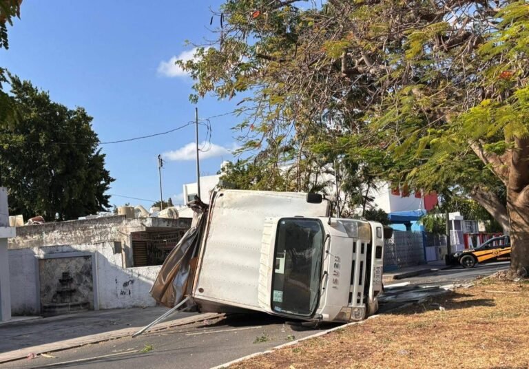 Rama de flamboyán provoca volcadura de camión de mudanzas en la colonia Alemán