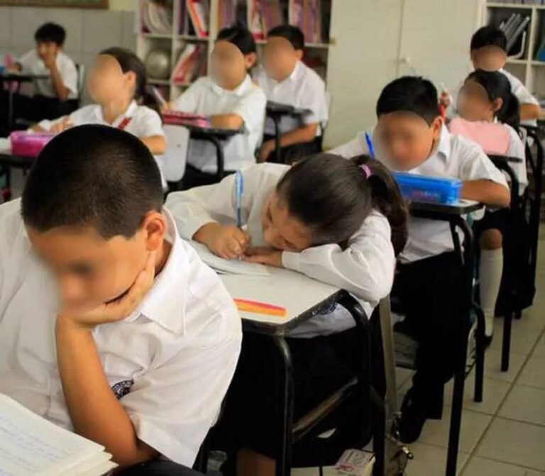 Comercios de Yucatán esperan repunte económico por regreso a clases; proyectan ventas por mil 400 mdp
