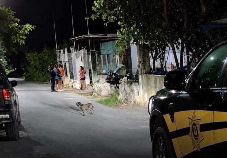 Abuelo se convierte en escudo humano y salva a su nieto de quedar sepultado en Motul